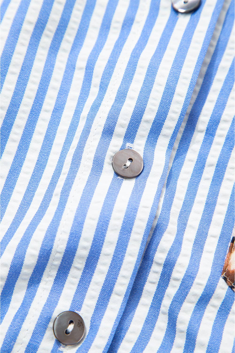 Spring 2026 Chic Contrast Leopard & Stripes Button Shirt: Sky Blue / M